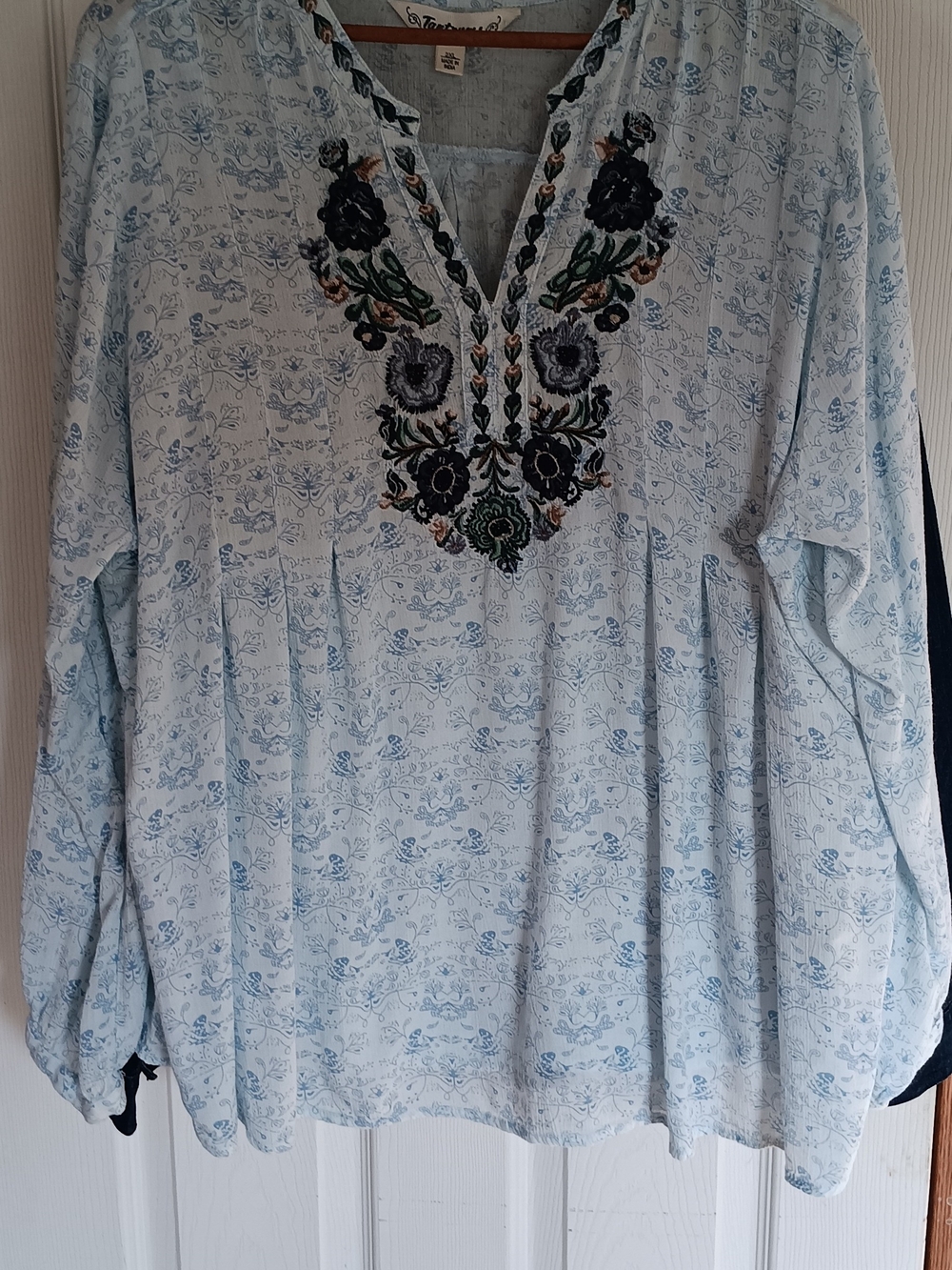 Tantrums Light Blue Embroidered V-Neck Peasant Top